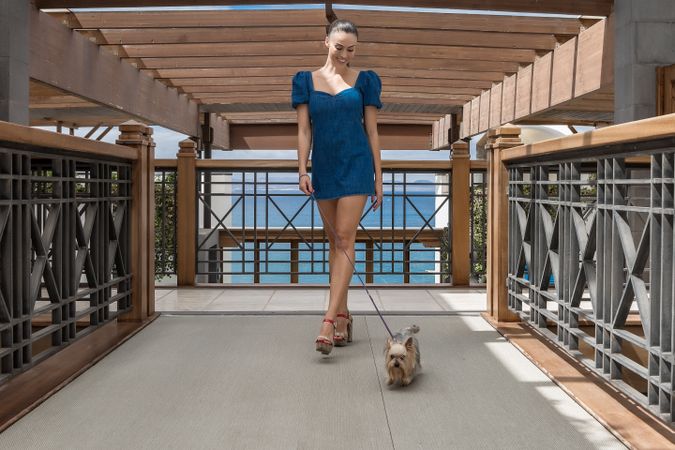 Woman in blue short dress walking her Yorkshire terrier puppy in hotel