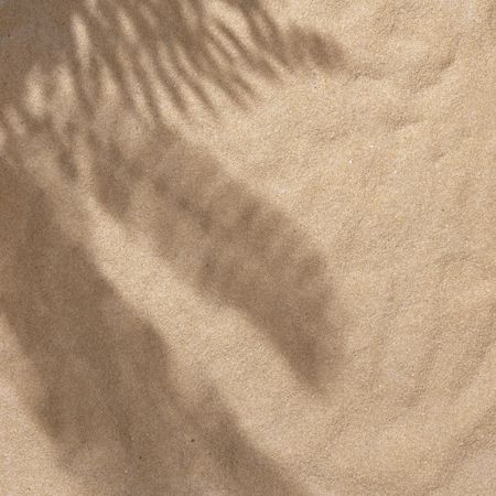 Sand with palm leaf shadows