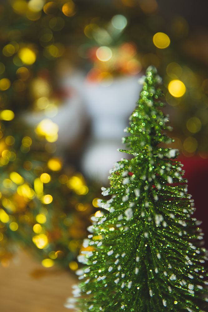 Green christmas tree with yellow string lights