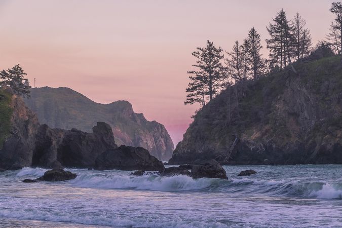 Trees, cliffs and chopping waves in cove