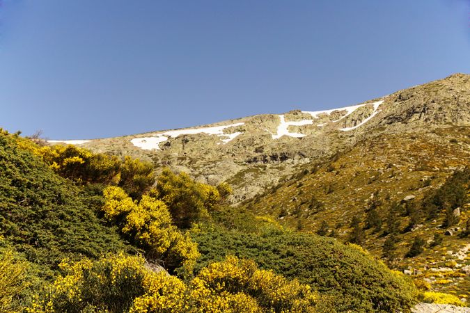 Picturesque landscape of green mountains in summer