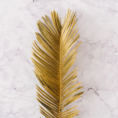 Golden palm leaf on marble background