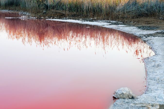 Pink lake with salt on shore