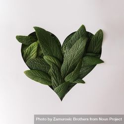 Heart shape cutout with green leaves 0yw3n4