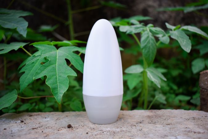 Cosmetic bottle on ledge surrounded by green branches