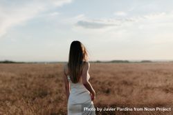 Back view of young woman in a dress standing in an open field 5oDYy4