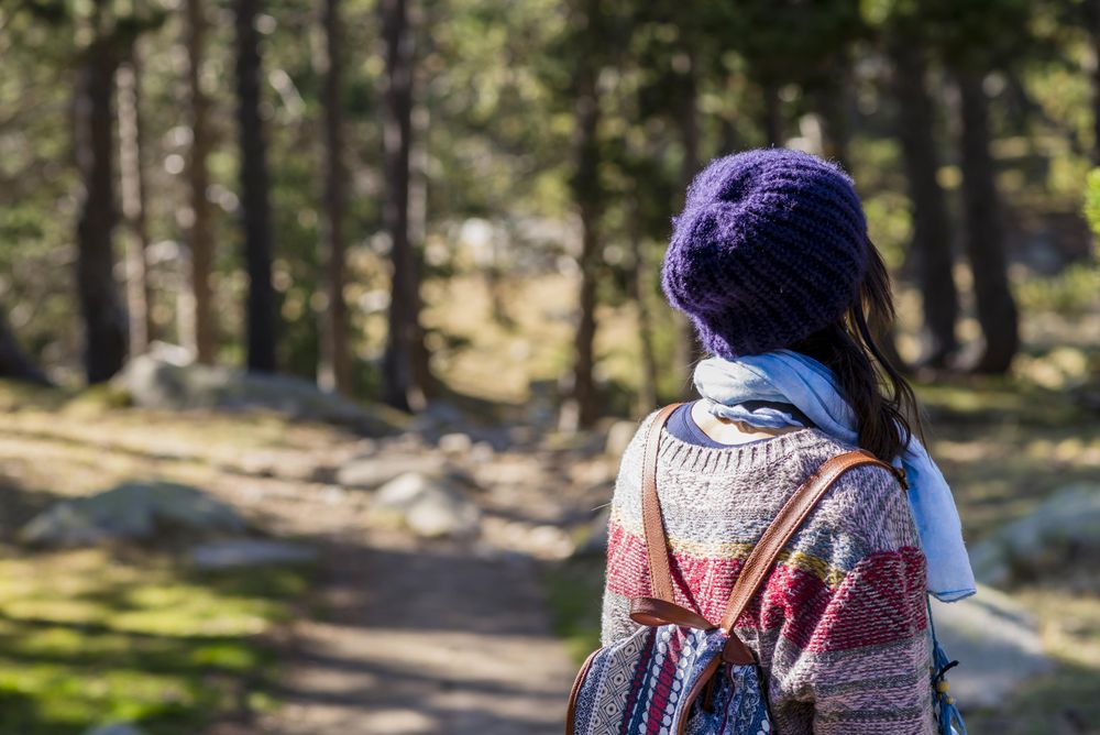 Back of female standing in forest on sunny day with camera