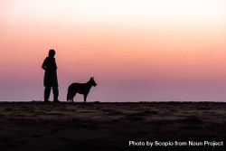 Silhouette photo of person and dog walking on soil during sunset 5odaQ4