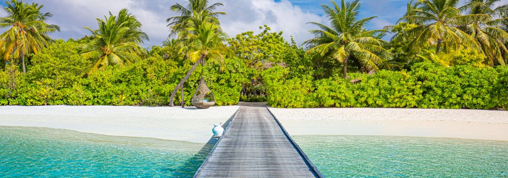 Walkway leading to a beautiful beach with palm trees, wide shot