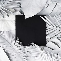 Tropical and palm leaves with square in desaturated colors