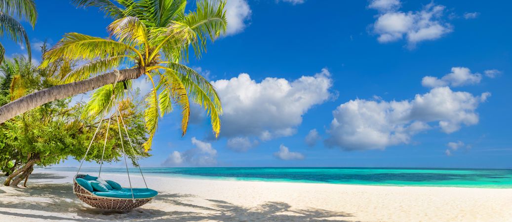 Round lounge chair hanging from a palm tree