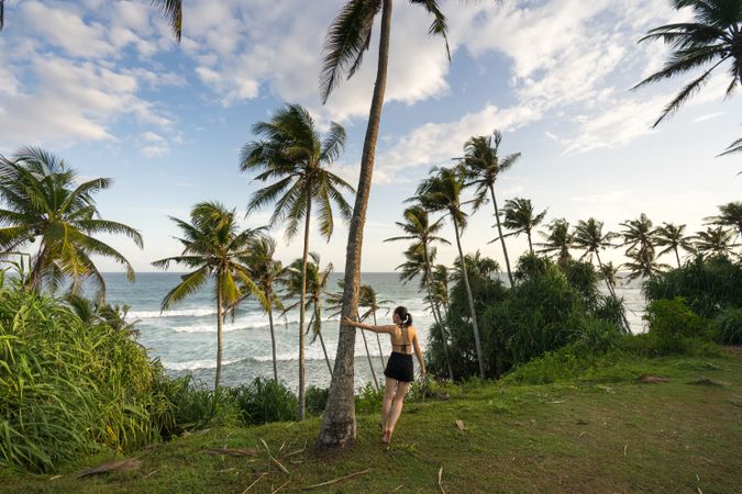 Tranquil female traveler among palms at seashore