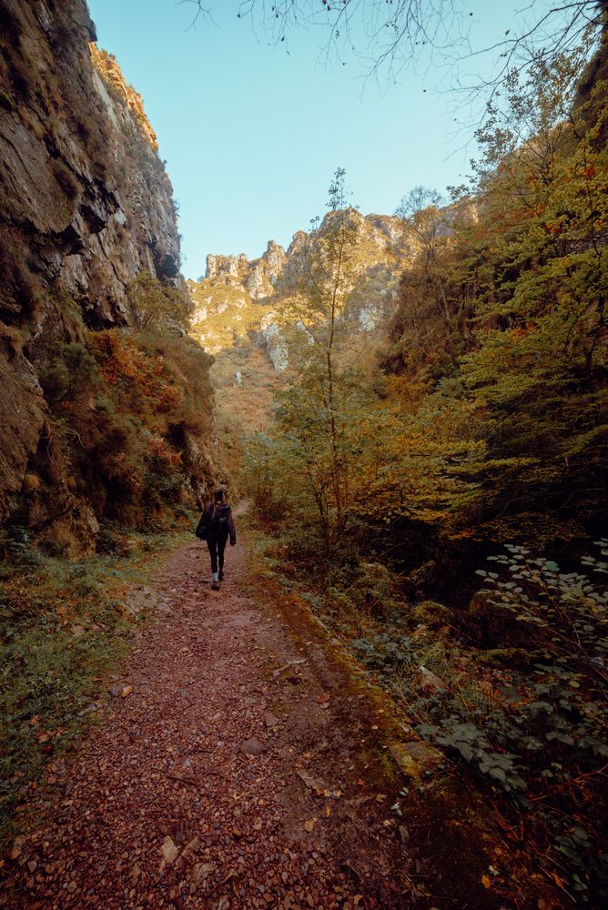 back view of woman walking on a road in nature