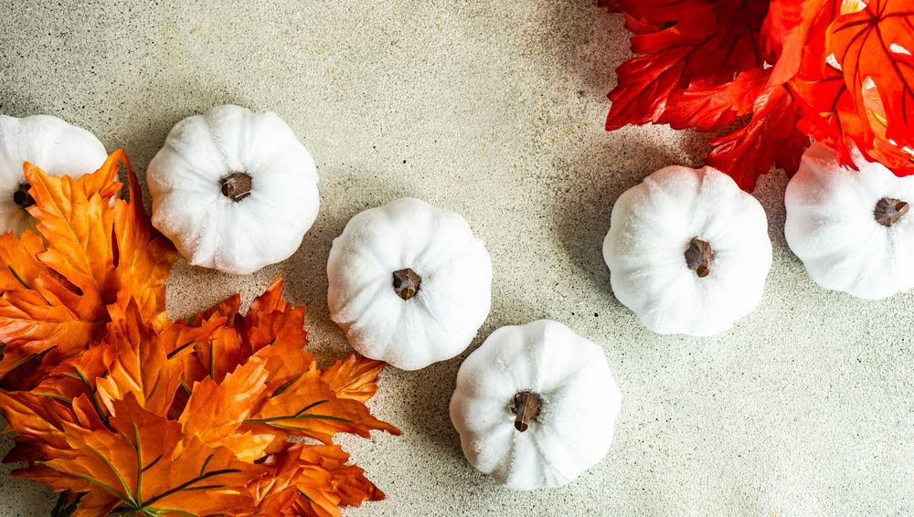 Top view of squash decorations with autumn leaves