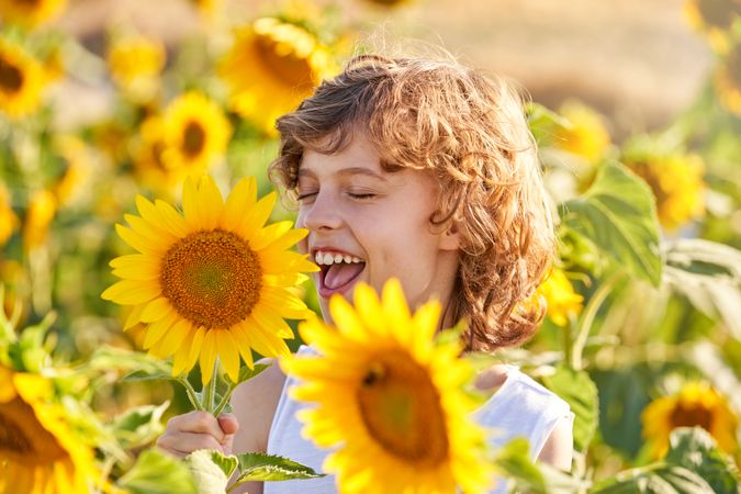Happy child smelling sunflowers on sunny day