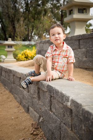 Young Boy Having Fun at the Park and Duck Pond.