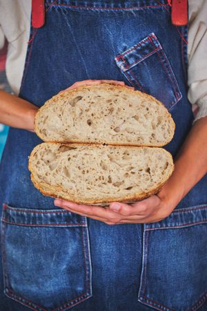 Photo detail of female hands holding an artisan bread broken in half with a blue kitchen apron.