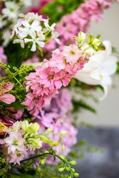 Close up of summer floral composition