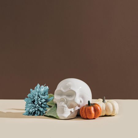 Ceramic skull with squash and blue flower