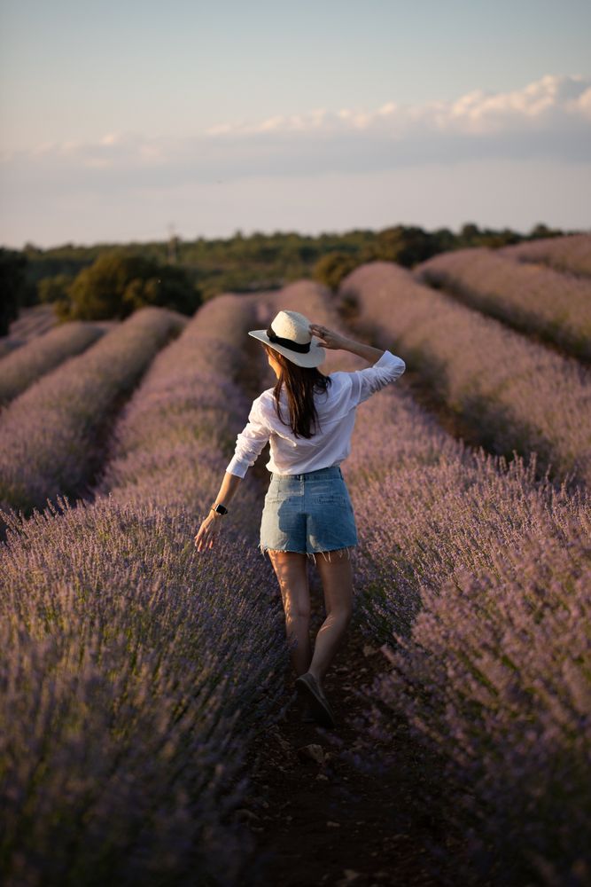 Anonymous woman walking in lavender field