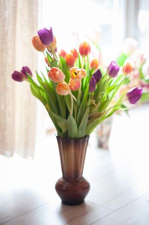 Colorful tulips in glass vase