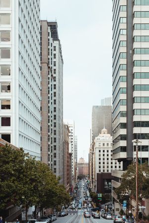 cityscape of street in San francisco