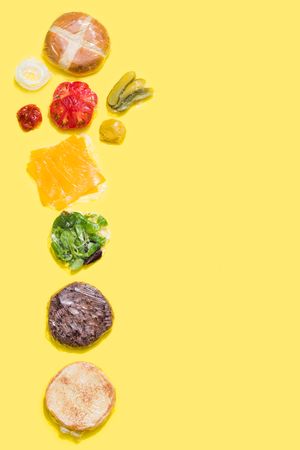 Ingredients of a cheese burger wrapped in plastic