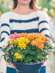 Female with bunch of colorful flowers