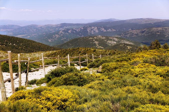 Picturesque landscape of green mountains in summer