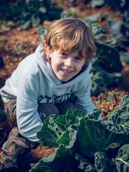 Satisfied child near growing cabbage in nature