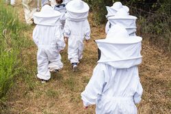 Company of kids in protective costumes in apiary