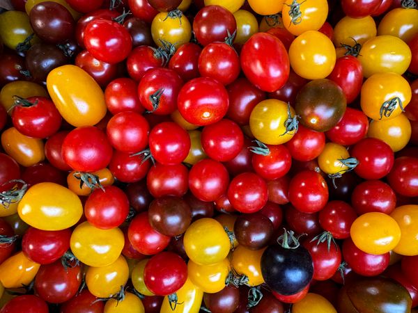 Cherry tomatoes for sale in market