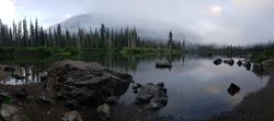 Green pine trees beside river during foggy weather in Snoqualmie Pass,Washington,United States