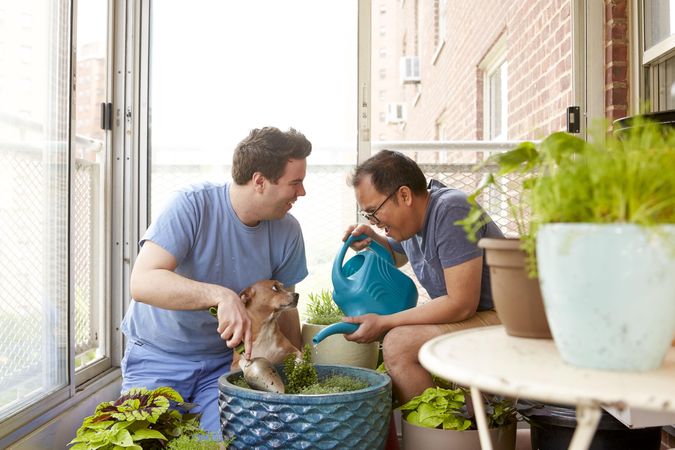 Two men watering a plant and petting a puppy at home