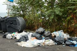 Garbage-contaminated territory near the dump, near the park