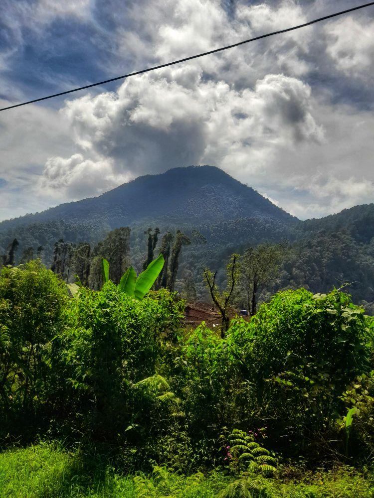 mountain slope