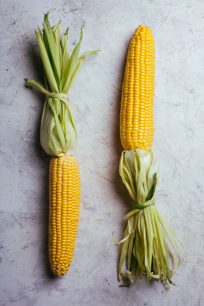 Phases of fresh corn peeling