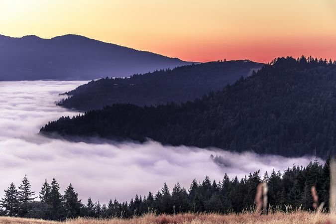 Tree lined cliffs and clouds under bright colorful sunset