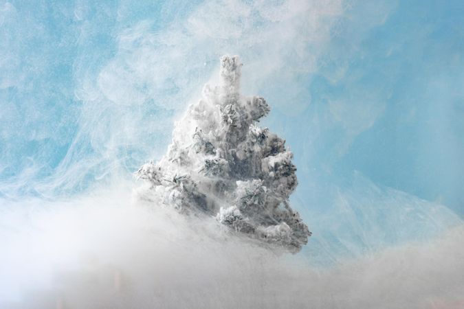 Snowy pine tree with in the snow on bright blue background