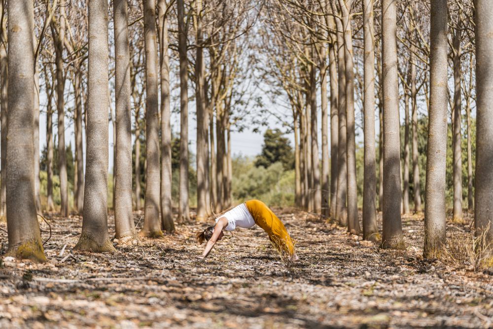 Adult expectant mother practicing yoga in downward pose in park during sunny day