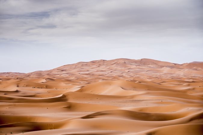 Sand dunes in Sahara desert