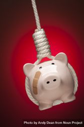 Piggy Bank with Bandage Hanging in Hangman's Noose on Red 4d8ryn