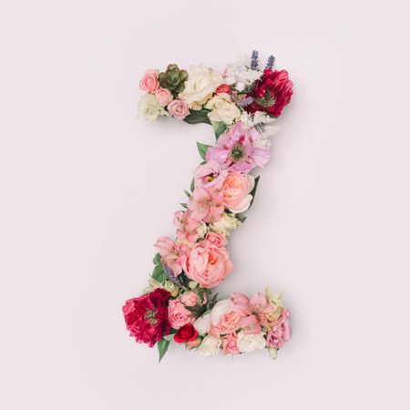 Letter Z made of real natural flowers and leaves