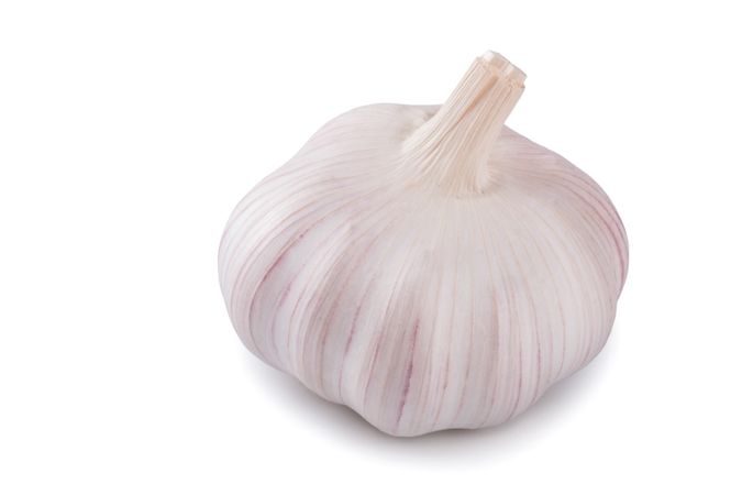 Fresh garlic isolated on plain background