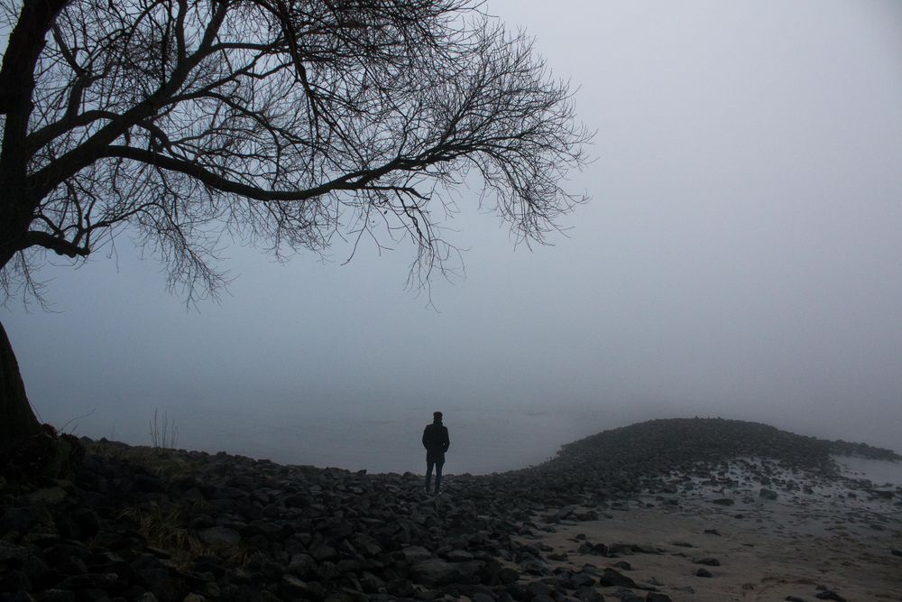 Silhouette of a man standing beside tree on a waterside in Germany