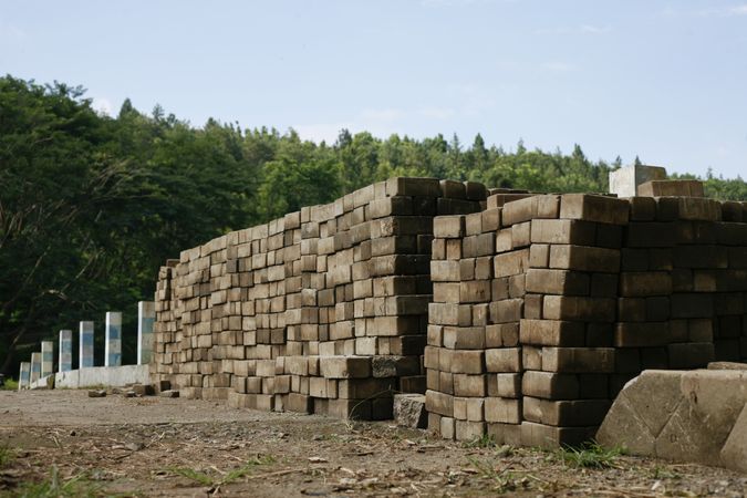 Bricks in forest