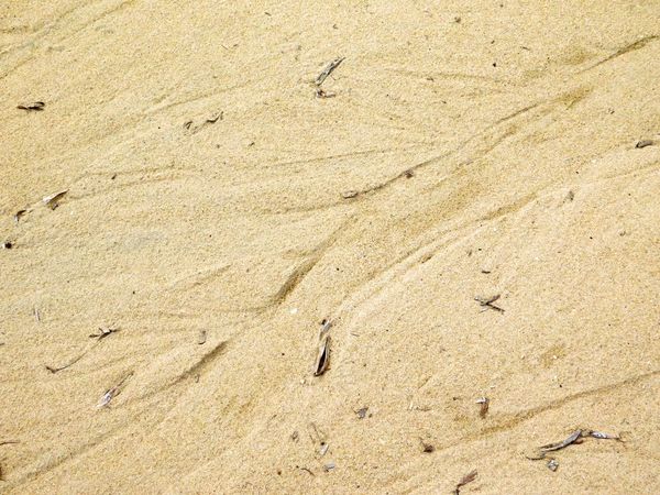 sand texture