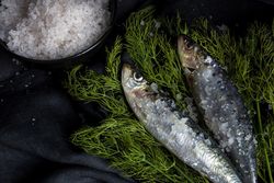 Homemade salted sardines on greens on plate