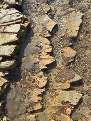Gray and brown ocean rocks