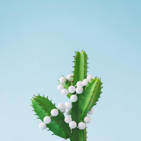 Cactus with Christmas tree decoration